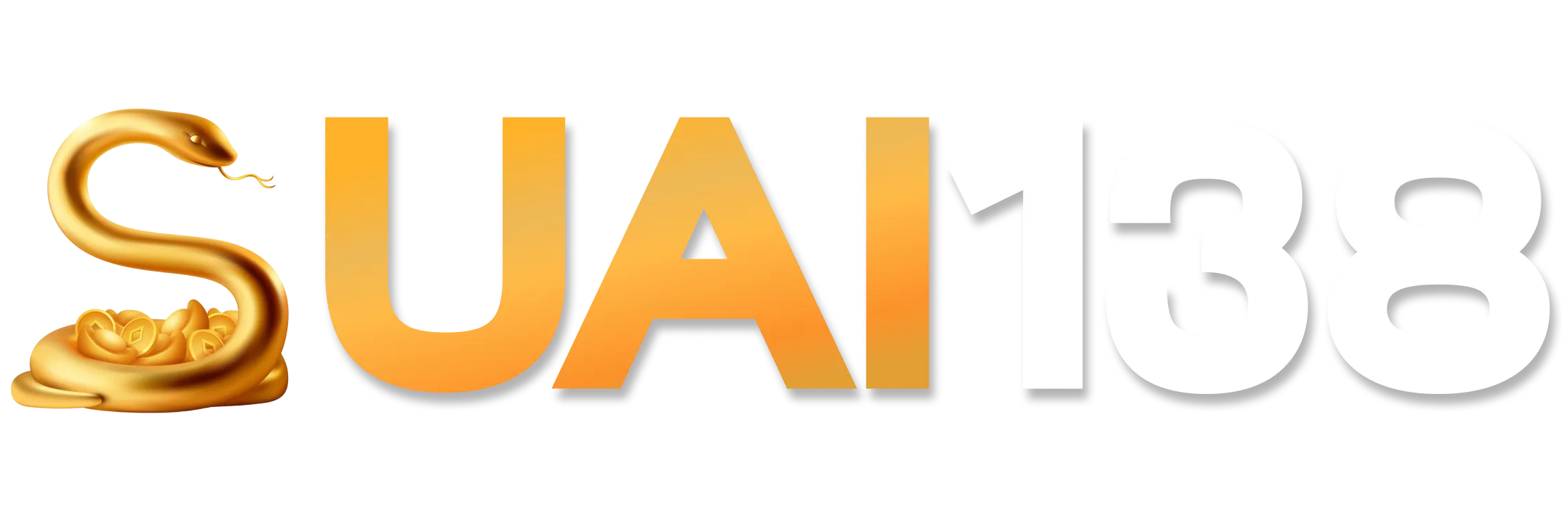SUAI138